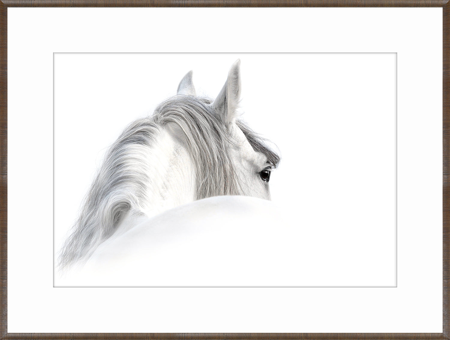 Andalusian & Chestnut Fresco Pair Bundle — abstract fine art print in neutral tones at Laurie Yapp Home