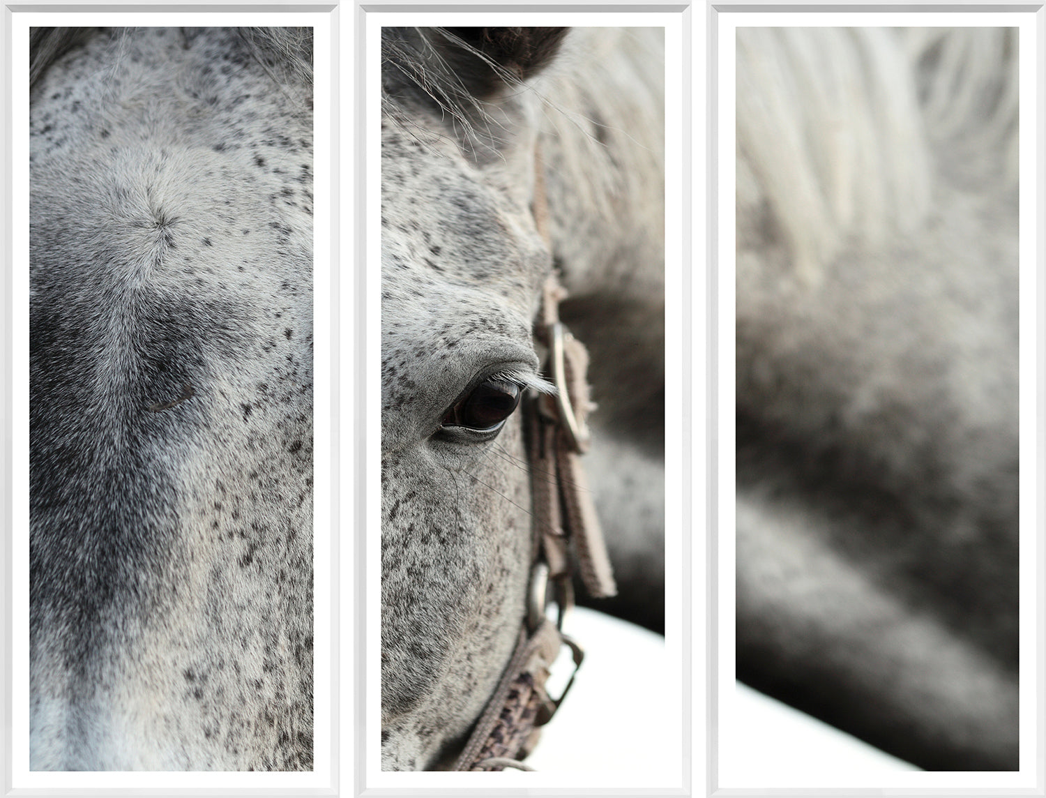 Statement Dappled Grey & Tete De Cheval Pair Bundle