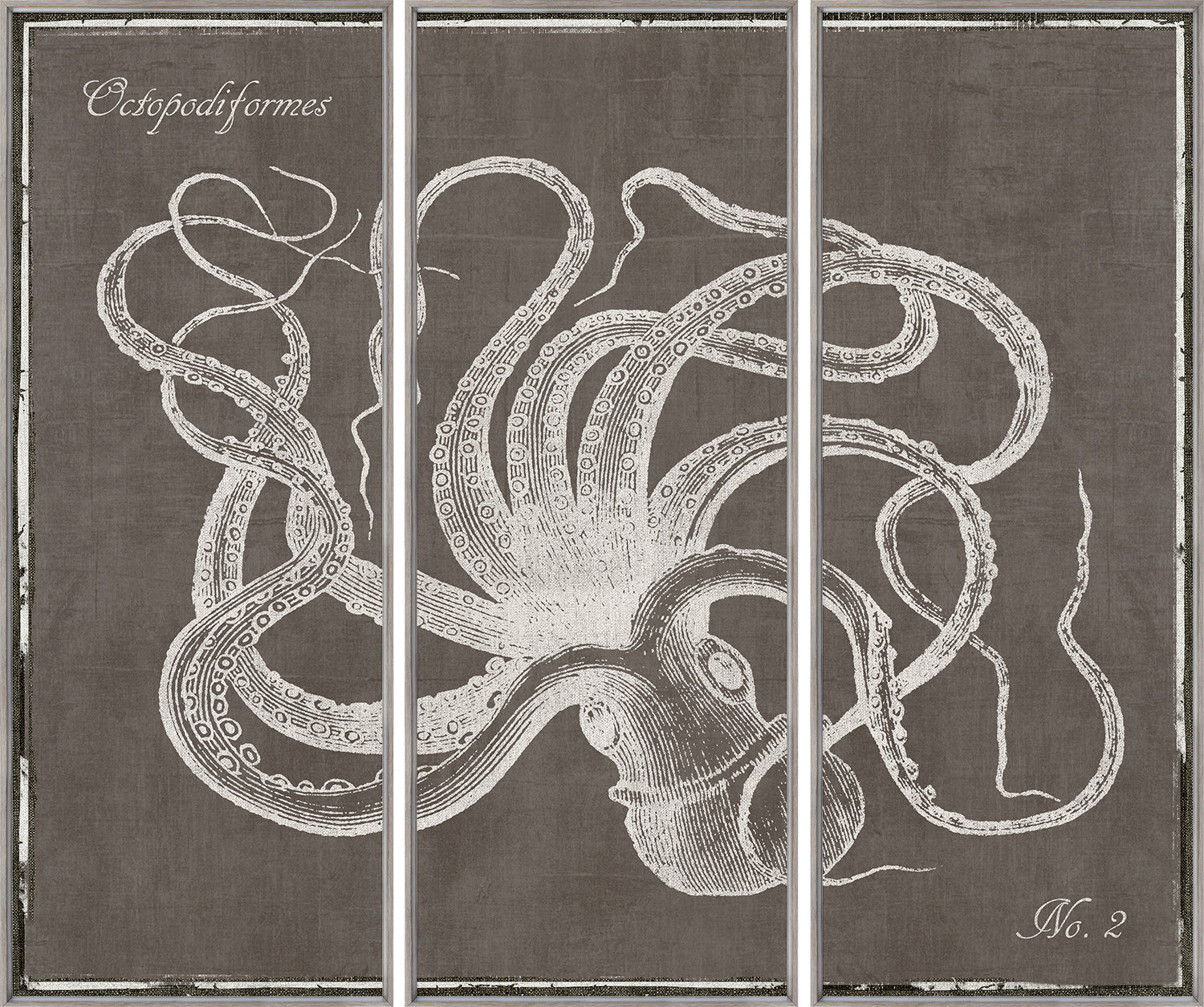 Octopus & Sea Turtle Triptych Pair Bundle — nature and landscape fine art print in neutral tones at Laurie Yapp Home