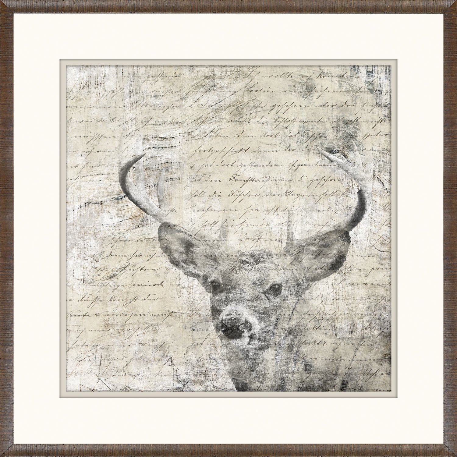Woodland Denizens Trio Bundle — still life fine art print in warm tones at Laurie Yapp Home