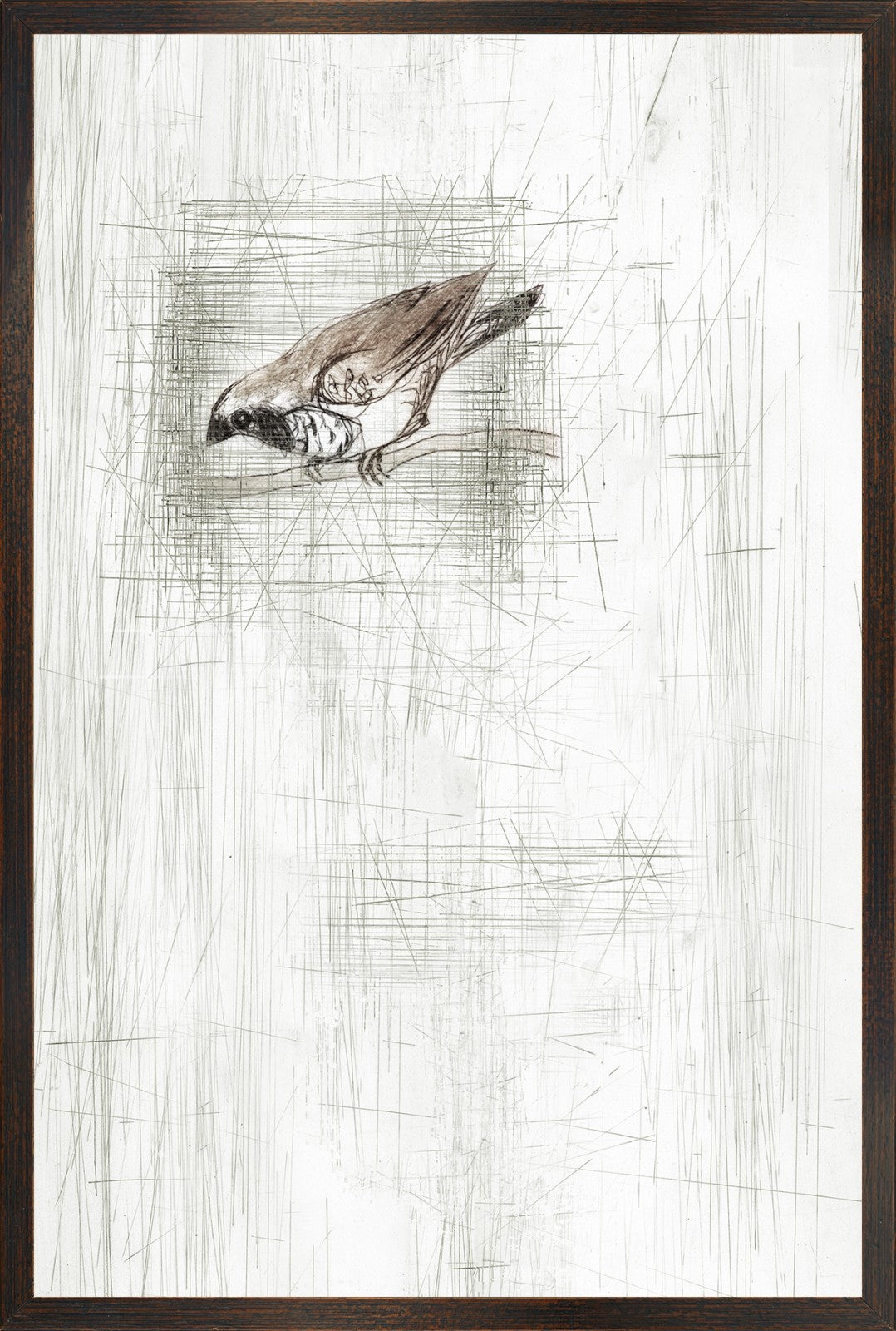 Captured Etching II wall art featuring a bird illustration in muted colors on a textured background.