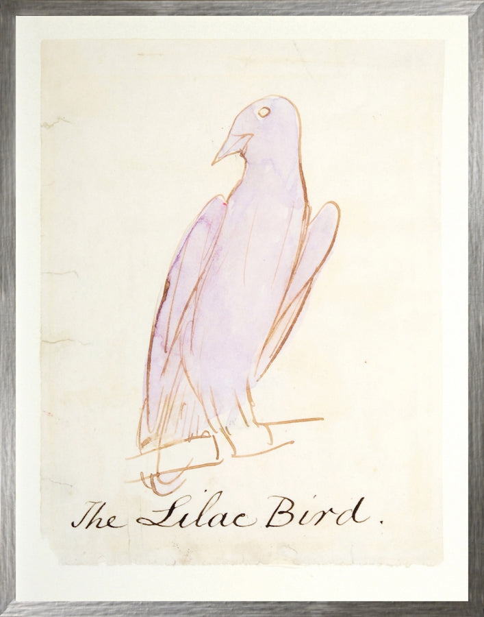 Edward Lear Bird Collection of Seven Bundle — figurative fine art print shown from another angle