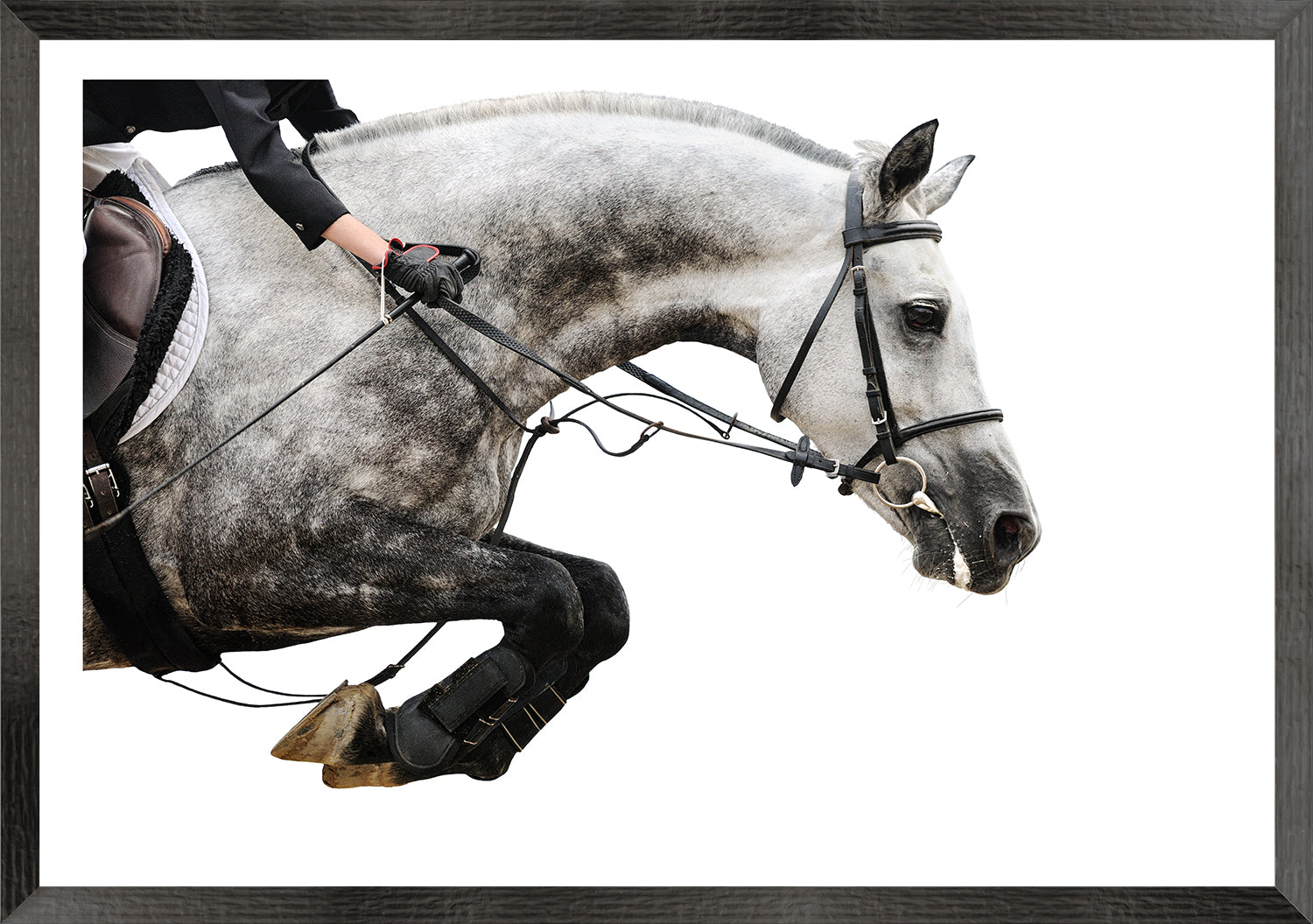Equestrian Detail Trio Bundle