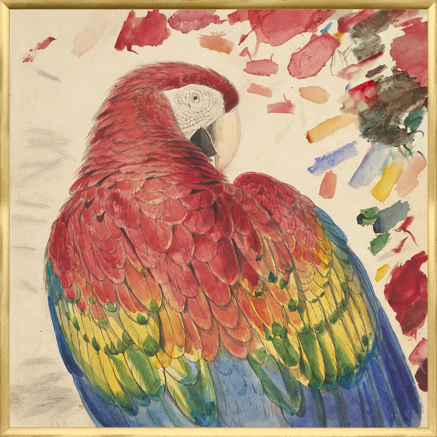 Lear – Red & Yellow Macaw — nature and landscape fine art print in bold primary tones at Laurie Yapp Home
