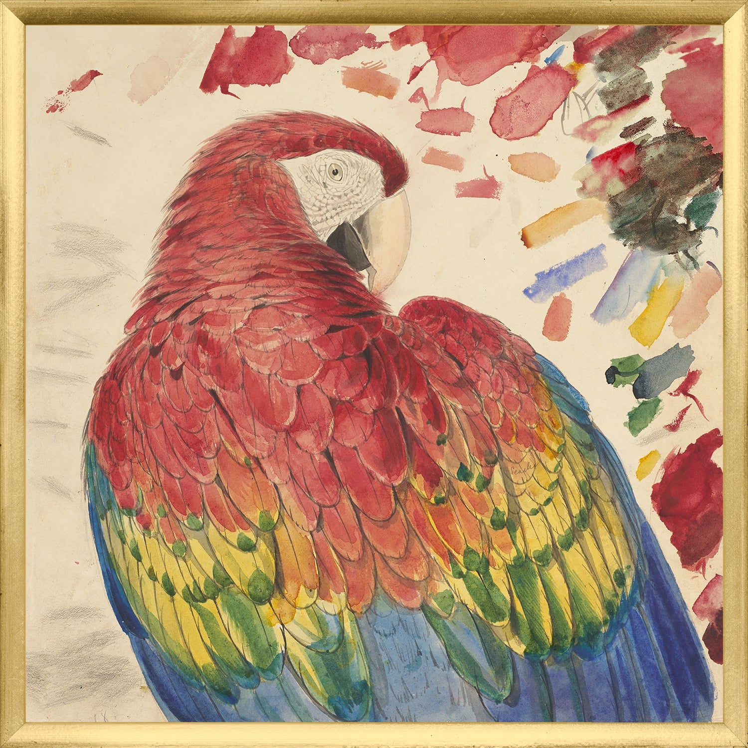 Lear Red Yellow Macaw framed art print