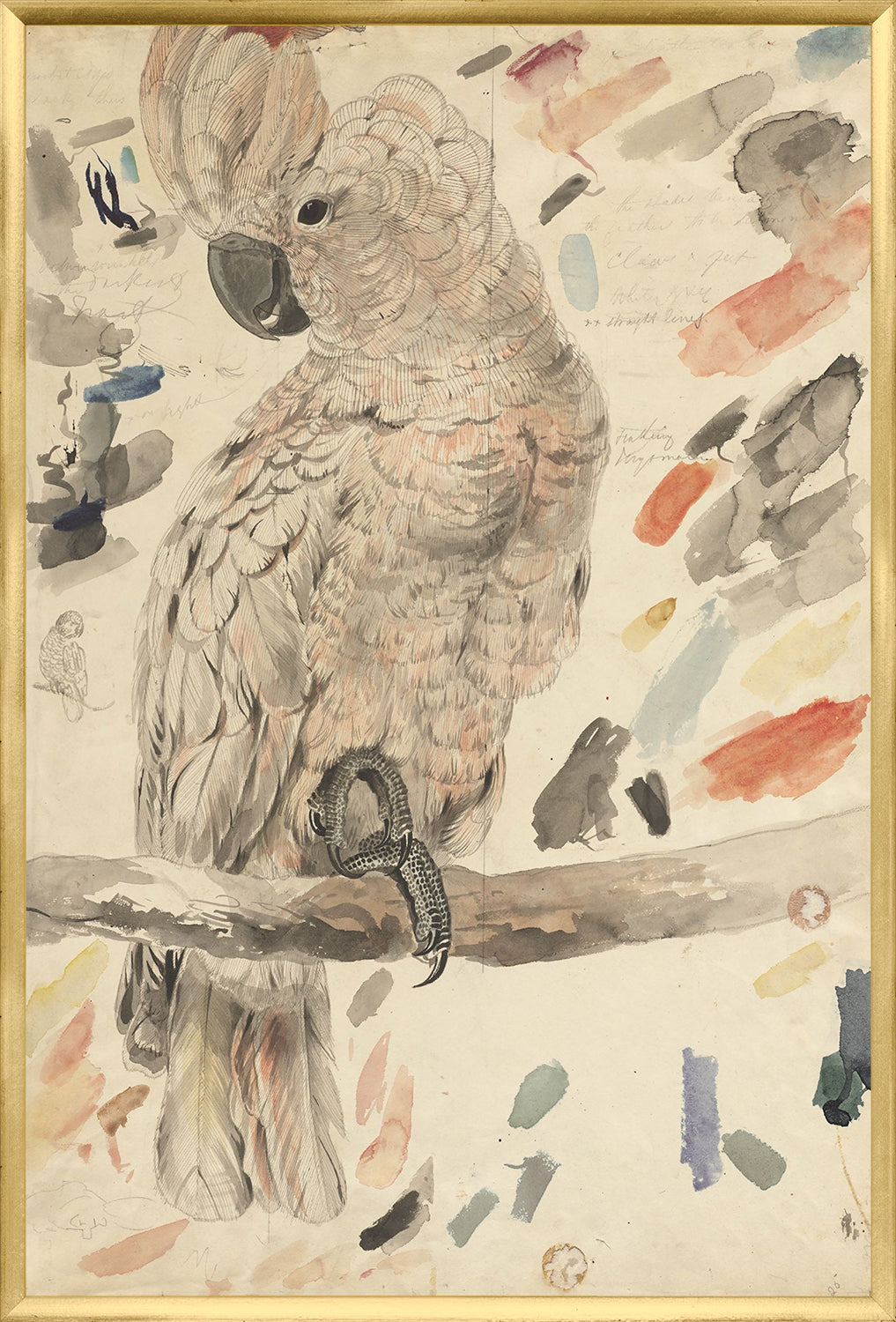 Lear – Salmon Crested Cockatoo — nature and landscape fine art print in neutral tones at Laurie Yapp Home