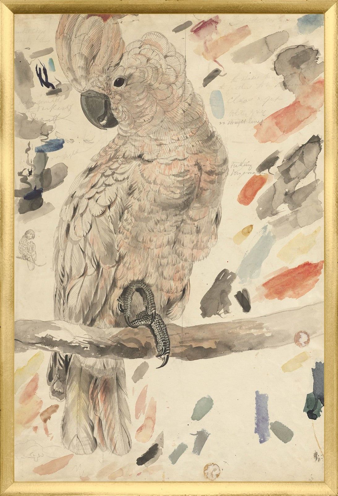 Lear Salmon Crested Cockatoo framed art print
