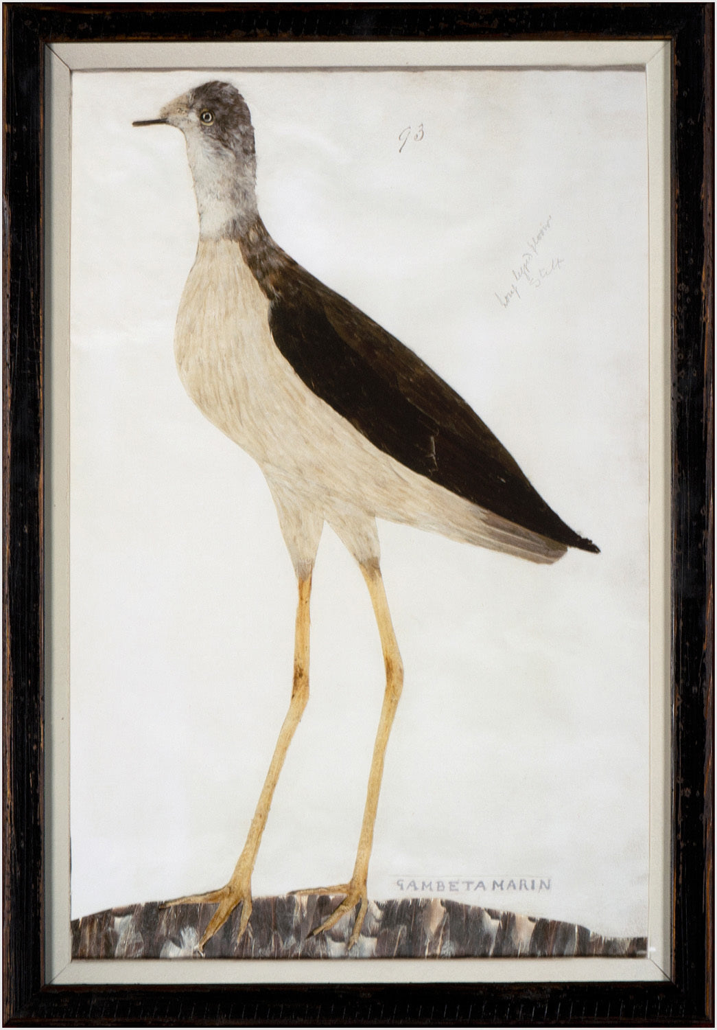 Minaggio Plate 93 — nature and landscape fine art print in neutral tones at Laurie Yapp Home