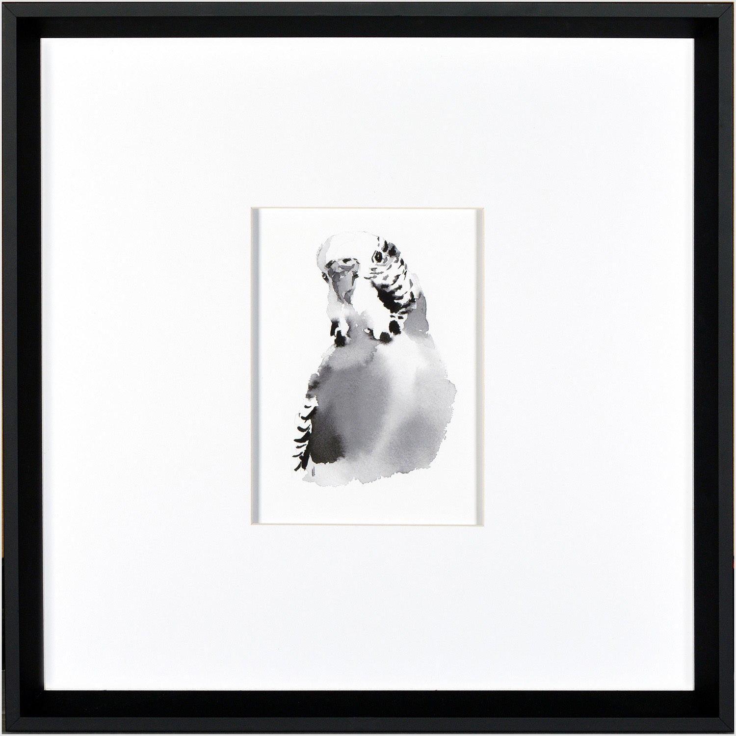 Budgie Bird wall art featuring a watercolor illustration in black and white, framed in black.