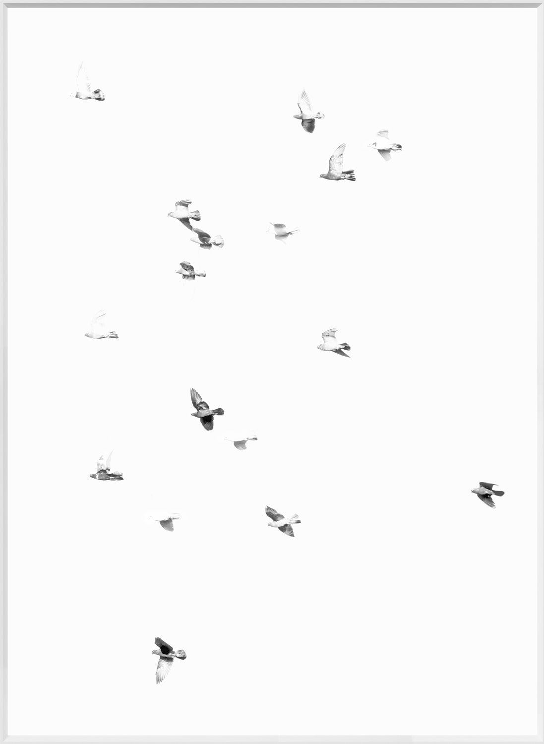 Flight Path II — nature and landscape fine art print in neutral tones at Laurie Yapp Home
