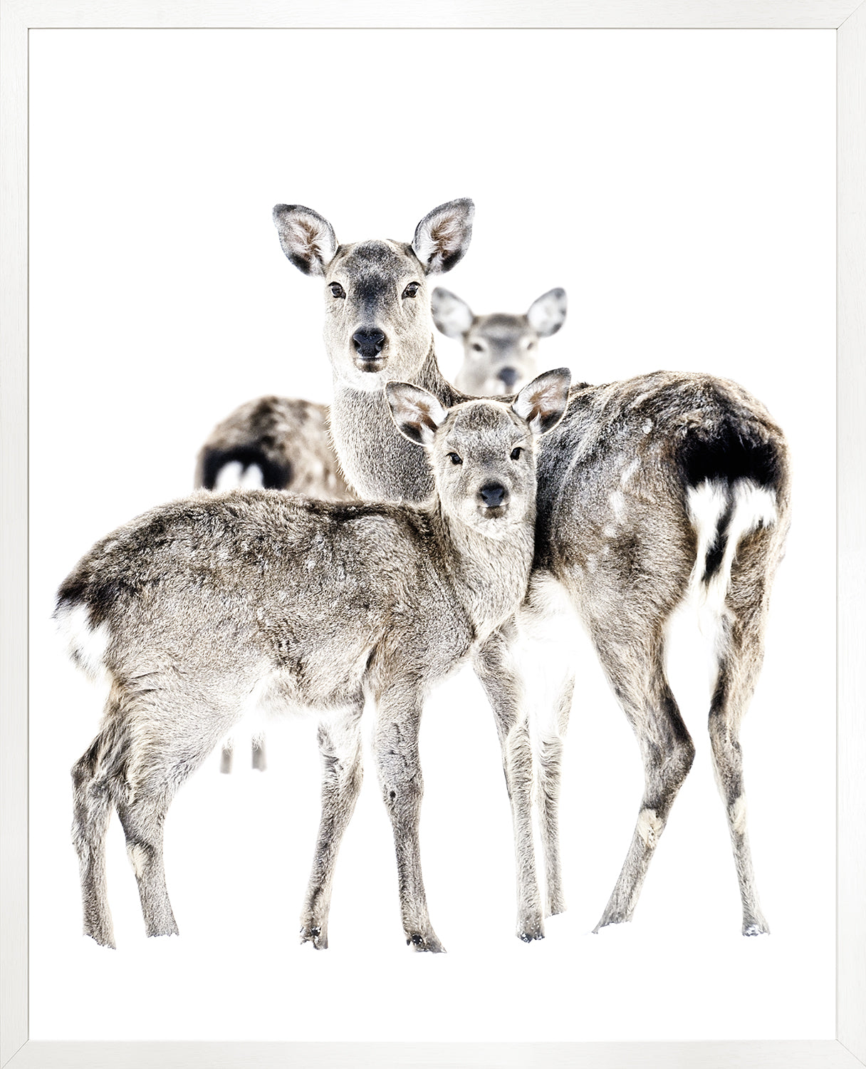 Maternal Vigil — nature and landscape fine art print in neutral tones at Laurie Yapp Home