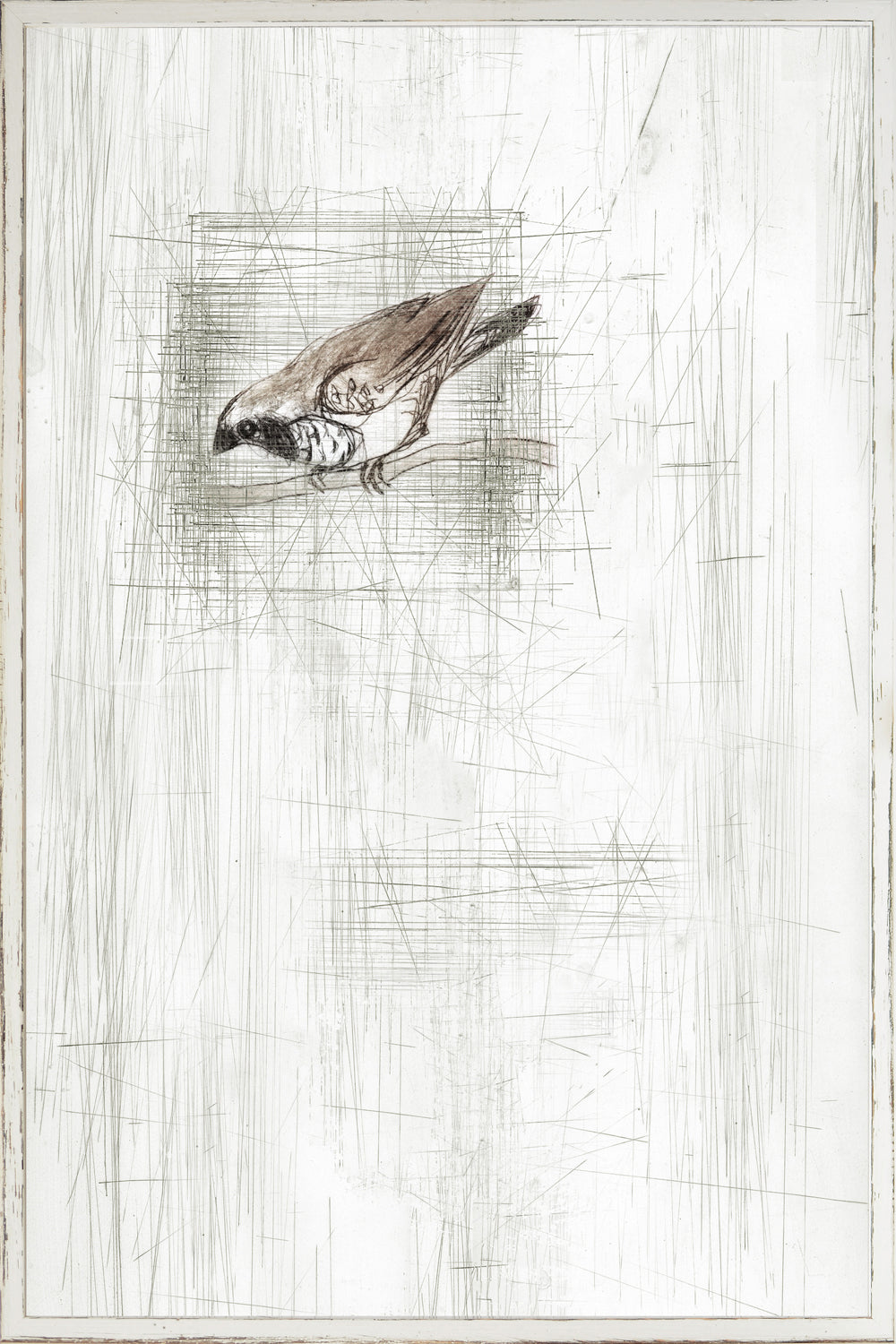 Captured Etching Ii framed art print