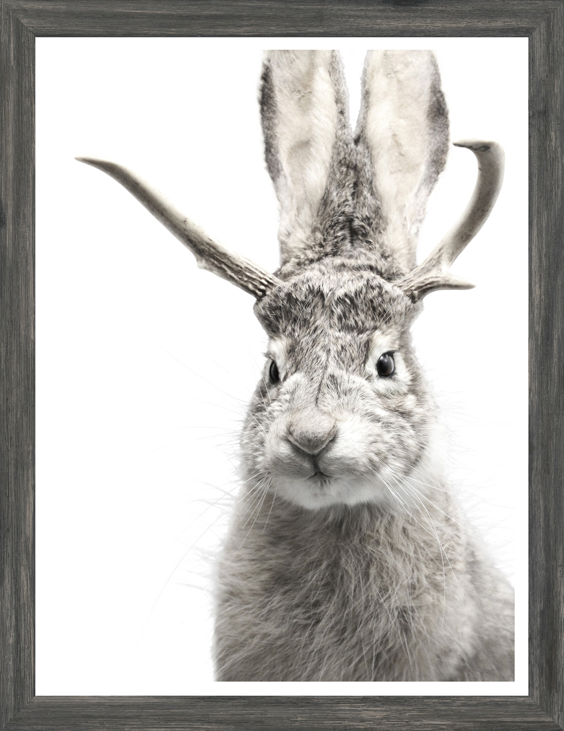 Jackalope — nature and landscape fine art print shown from another angle