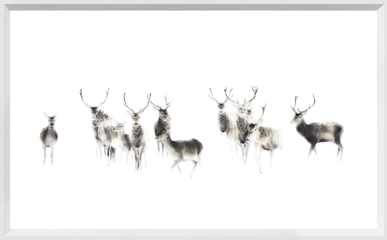 Silent Watch — nature and landscape fine art print in neutral tones at Laurie Yapp Home