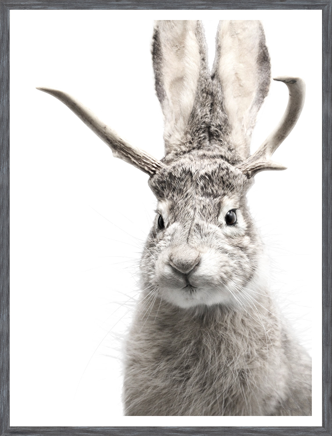 Jackalope — nature and landscape fine art print in neutral tones at Laurie Yapp Home