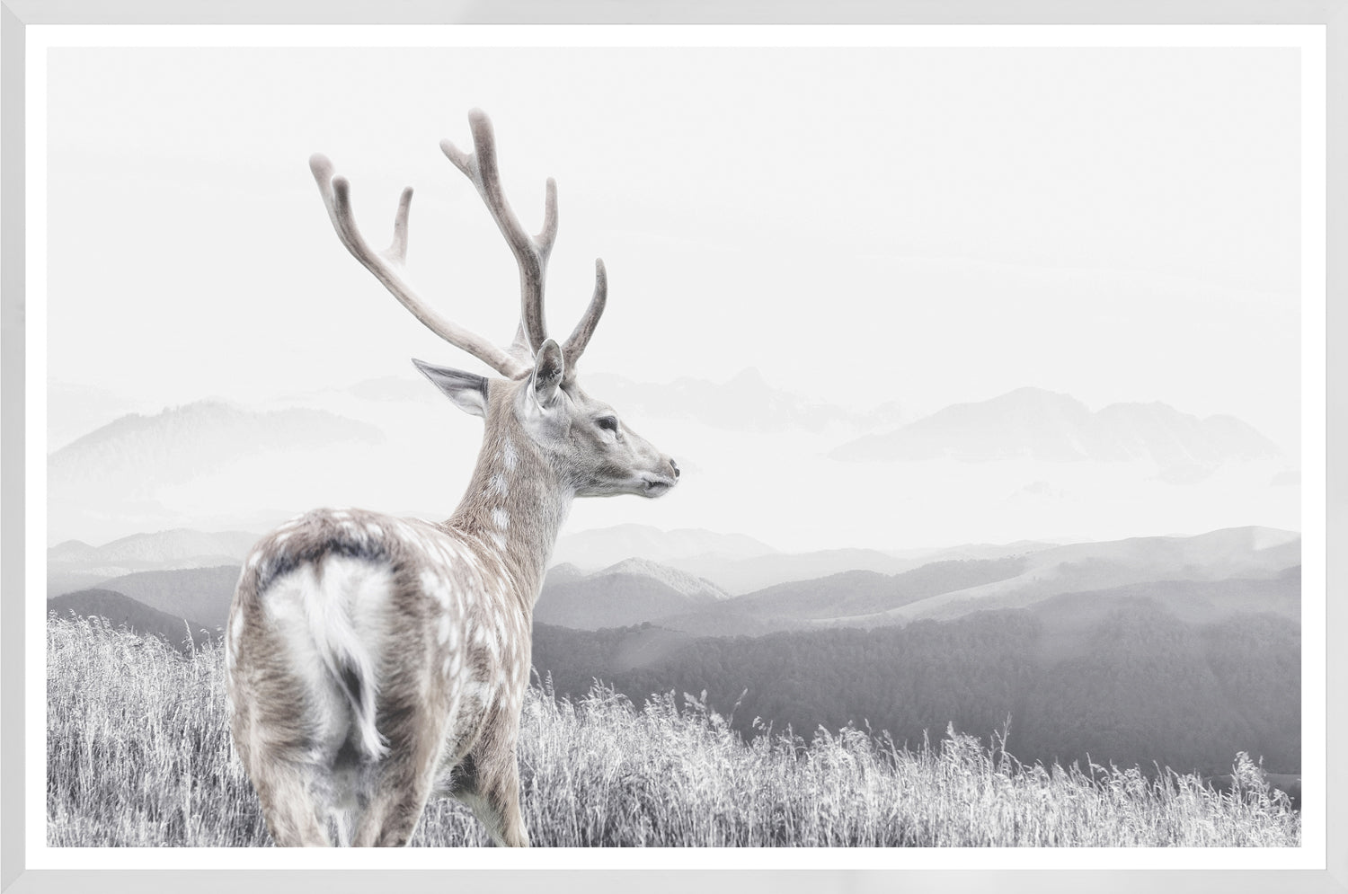 Range — nature and landscape fine art print in neutral tones at Laurie Yapp Home