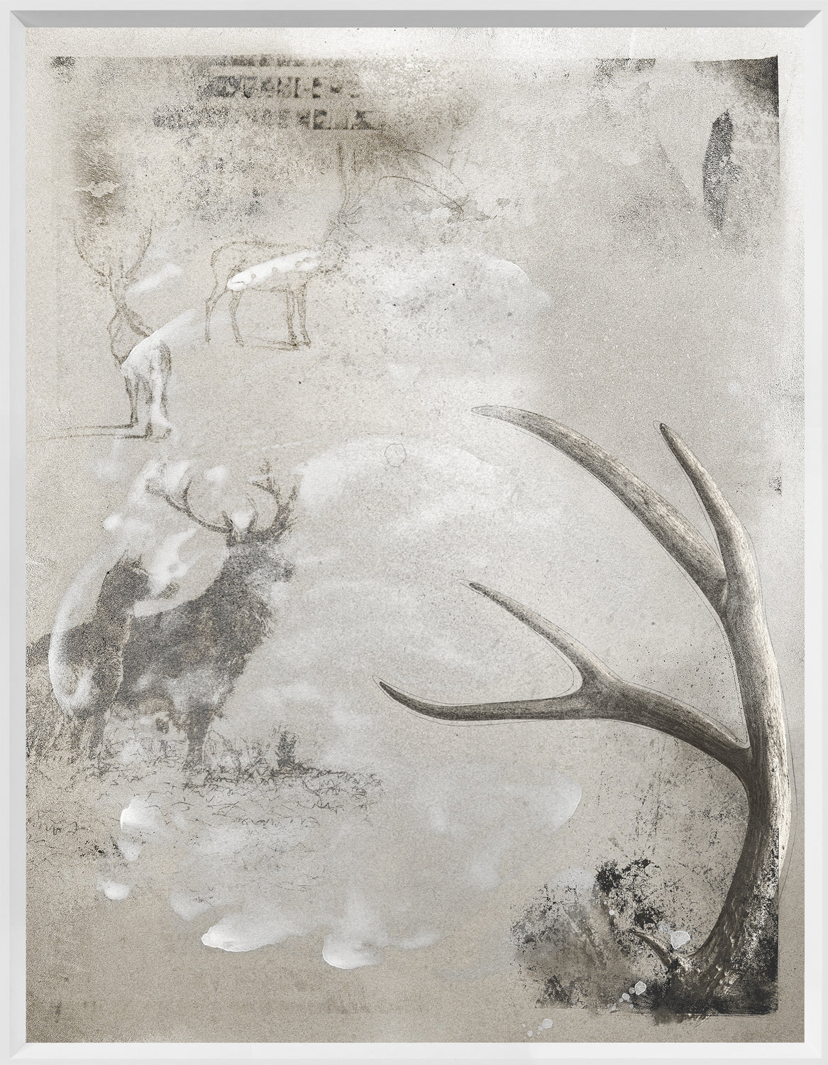 Wilderness Plate II wall art featuring abstract deer and antlers in muted gray tones.