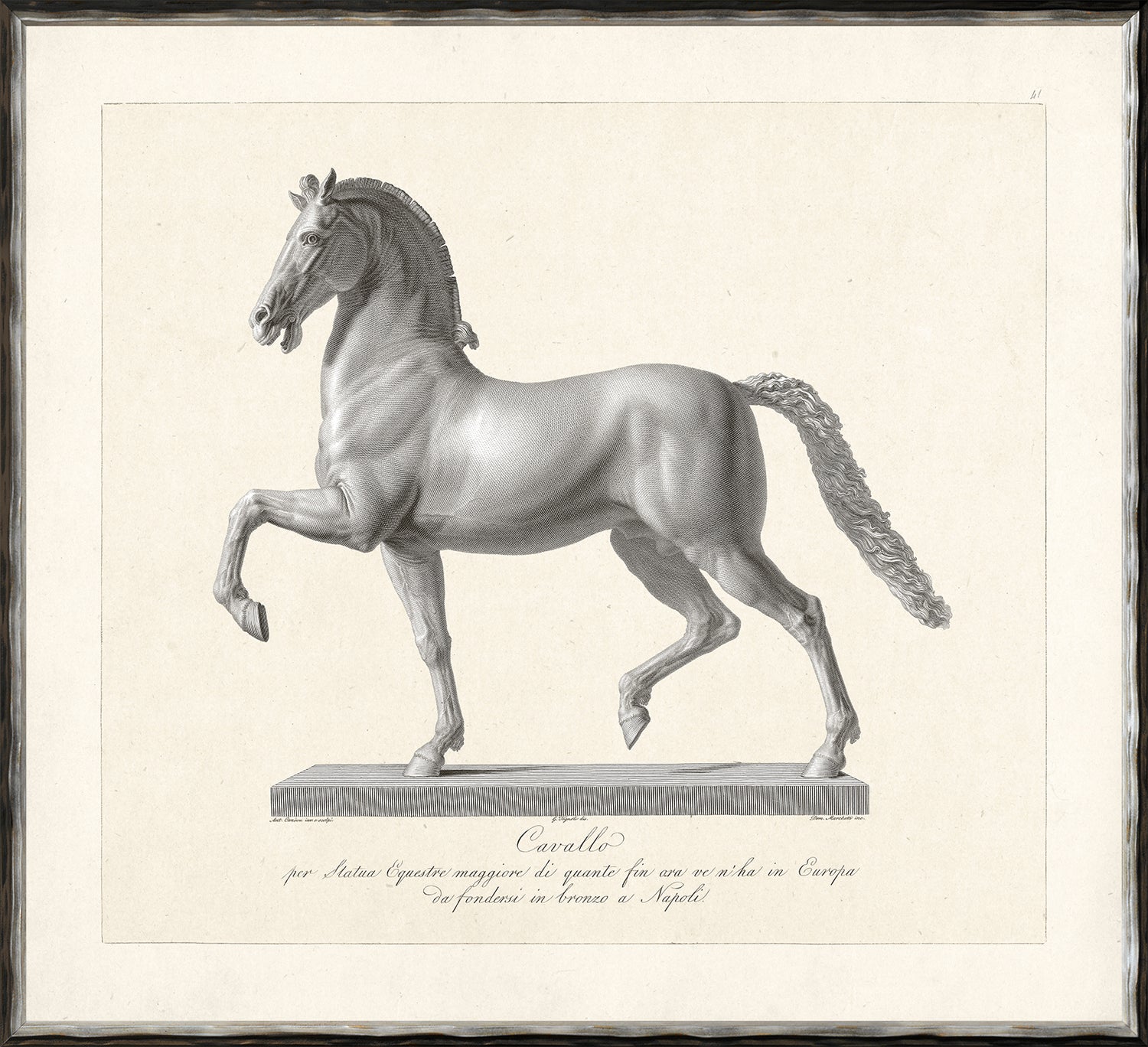 Cavallo Etching 1812 II wall art featuring a detailed horse illustration in gray tones.