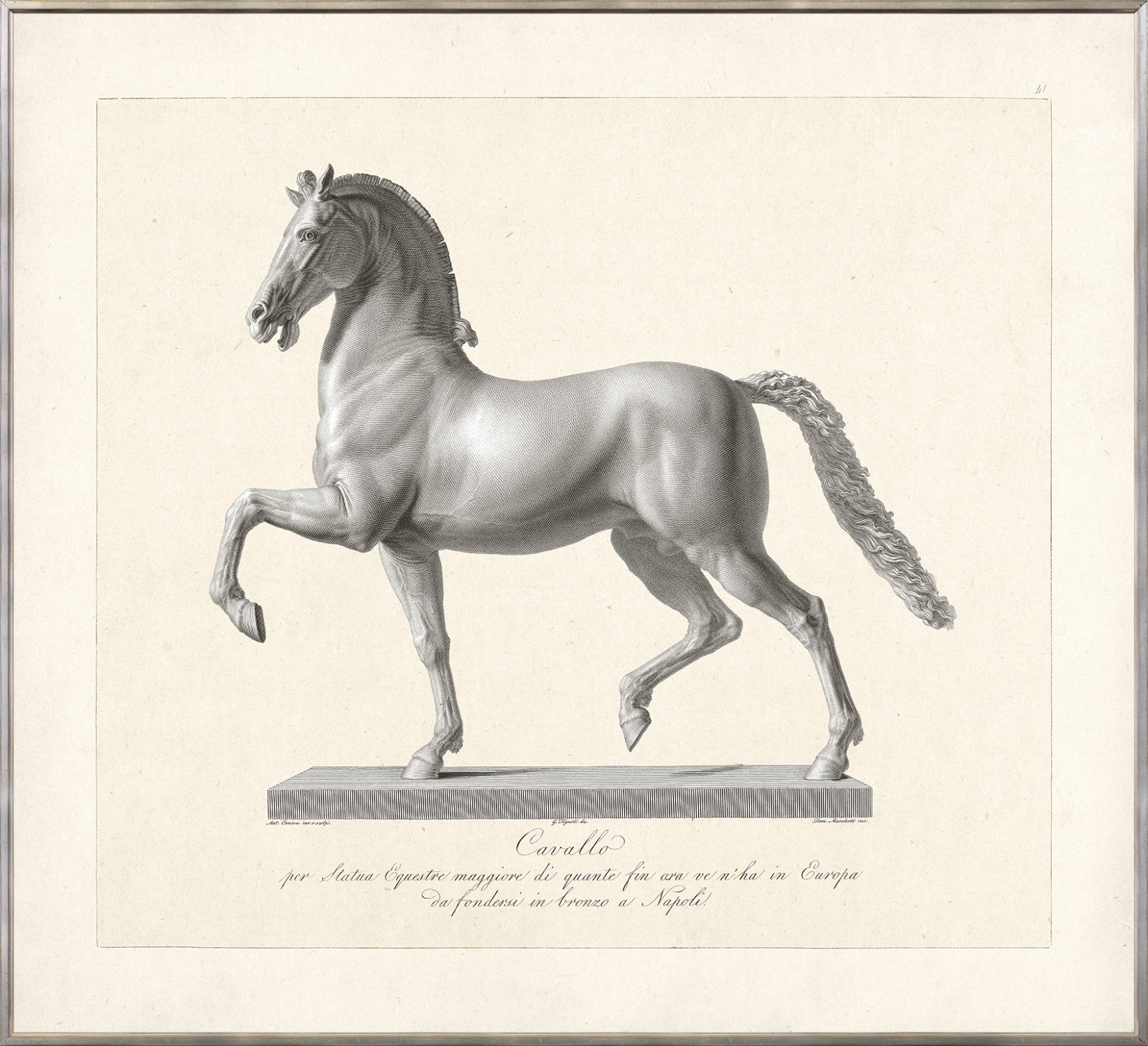 Cavallo Etching 1812 Ii framed art print