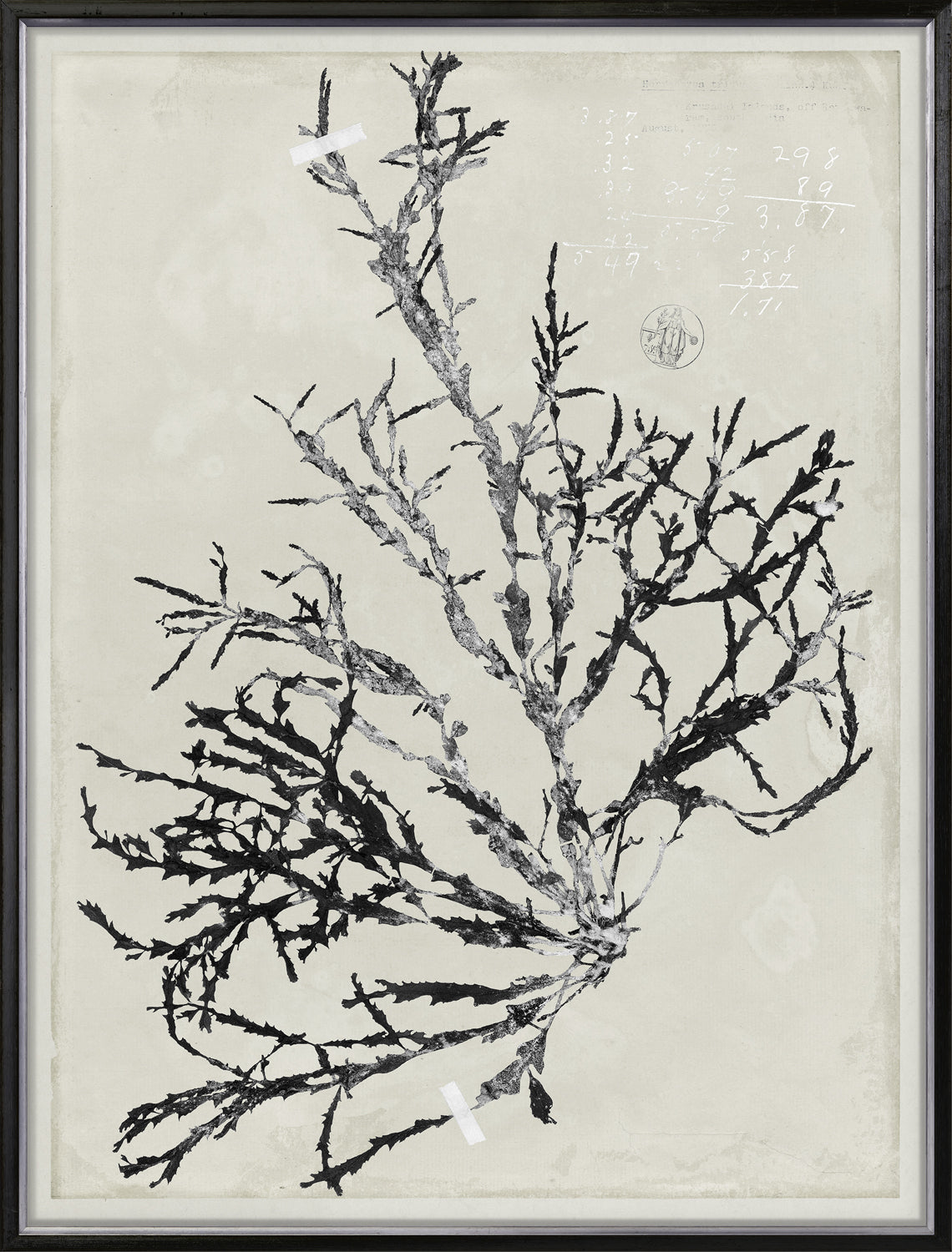 De Mari Series IX framed art print, Gild Silver, 31 × 41 in