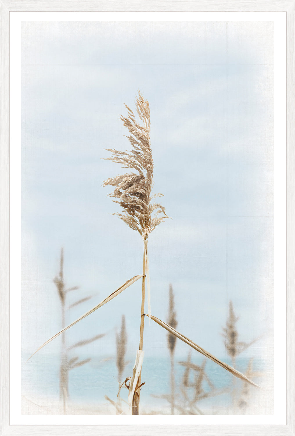 Dune Grass — nature and landscape fine art print shown from another angle