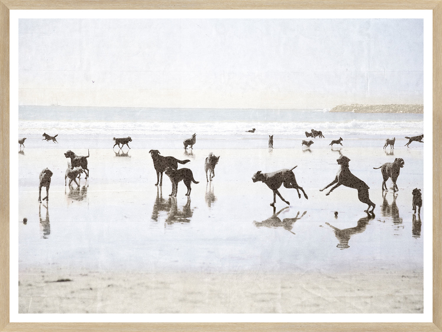 Dogs Day At The Beach framed art print