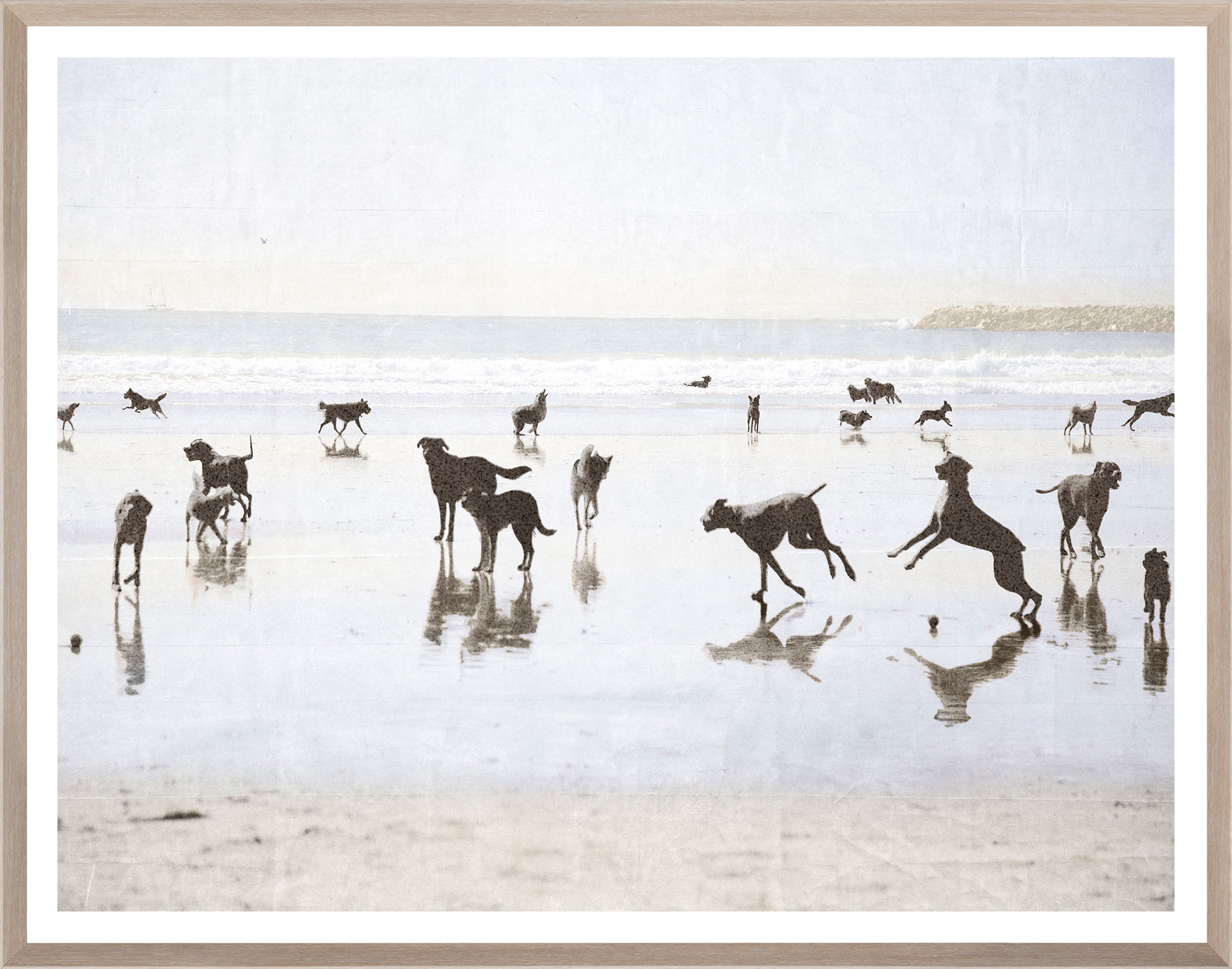 Dogs Day At The Beach framed art print