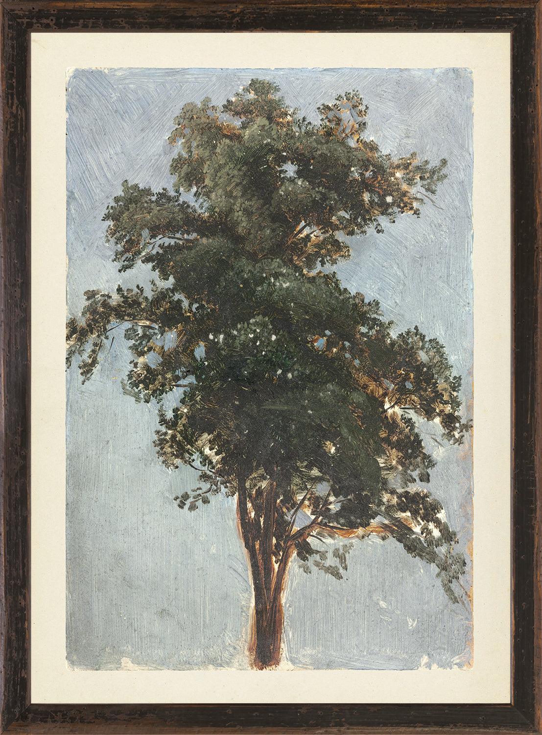 Collection Vintage Tree Study 1855 framed art print