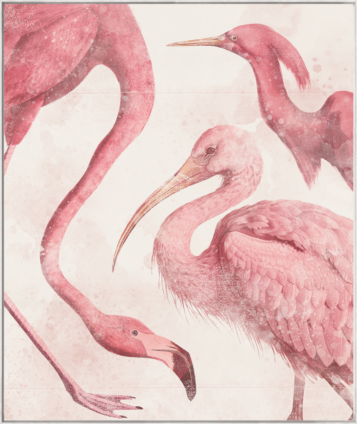 Roseate Aquatics I — nature and landscape fine art print shown from another angle