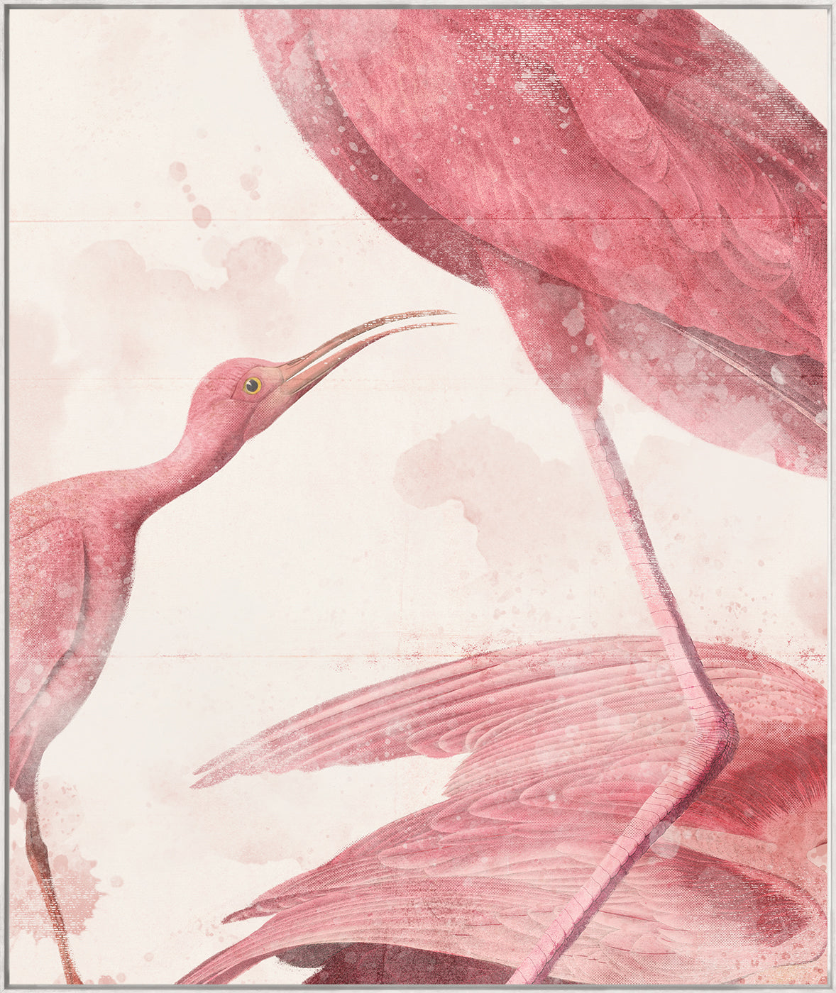 Roseate Aquatics III — nature and landscape fine art print shown from another angle