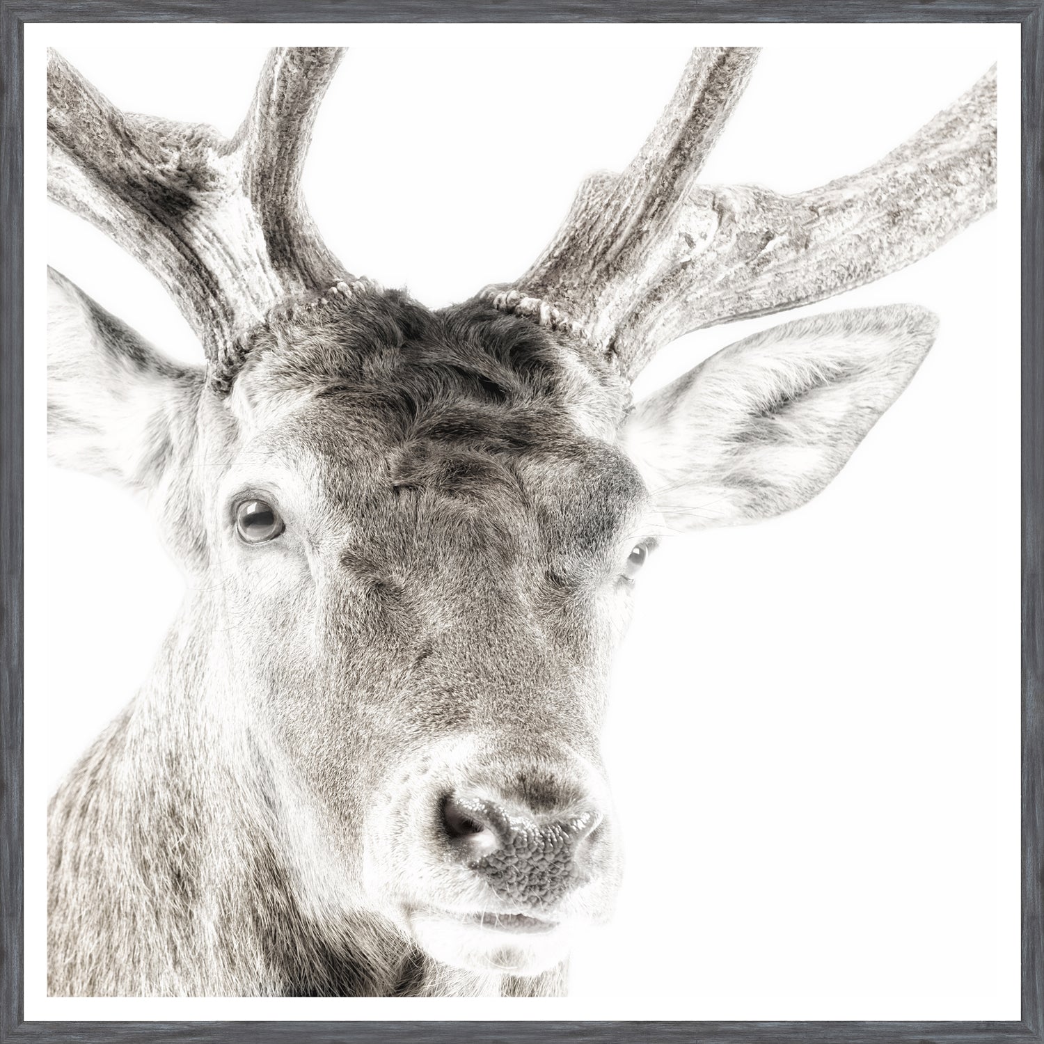 Celtic Myth — nature and landscape fine art print shown from another angle
