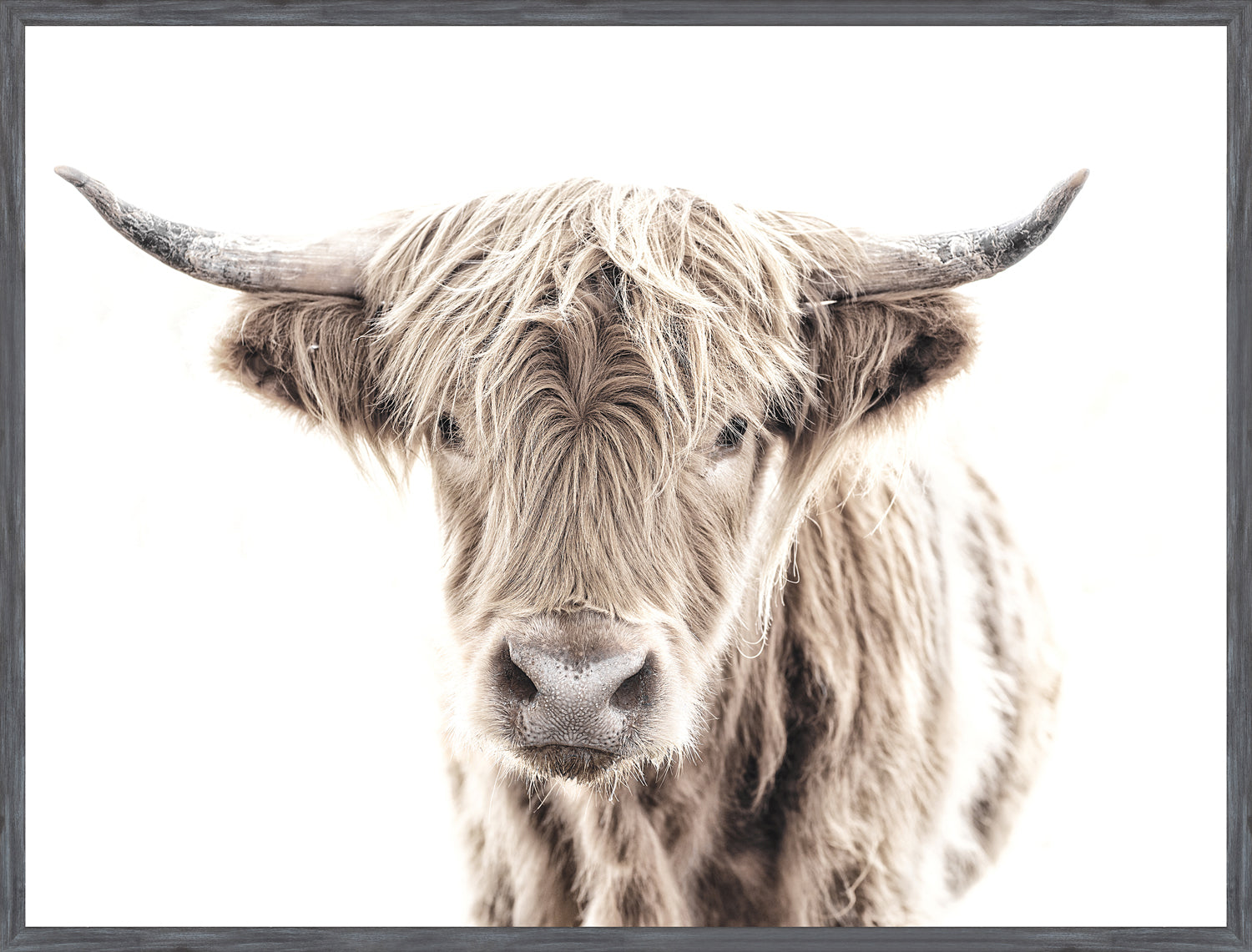 Highland Cow — nature and landscape fine art print in neutral tones at Laurie Yapp Home