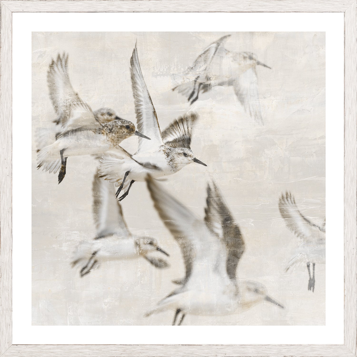 Sand Piper Detail I framed art print