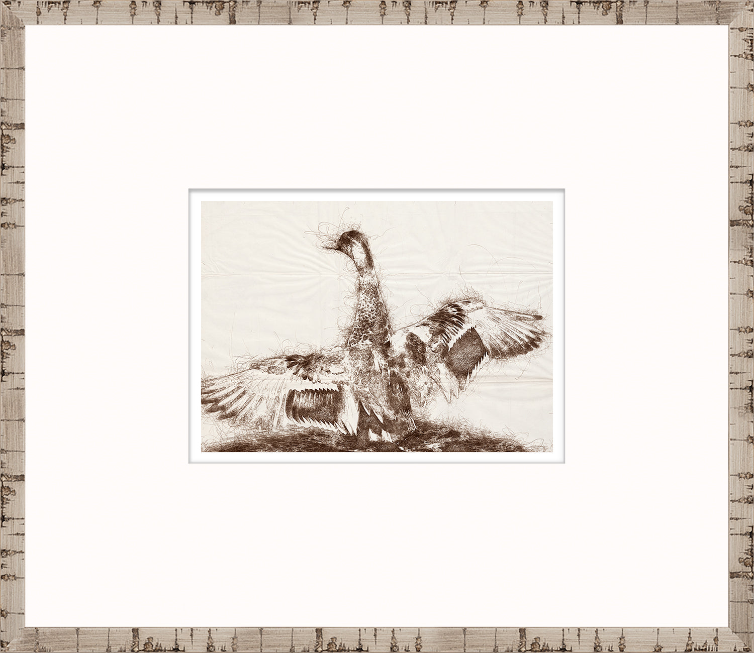 Nature Sketch – Wingspan — nature and landscape fine art print in neutral tones at Laurie Yapp Home