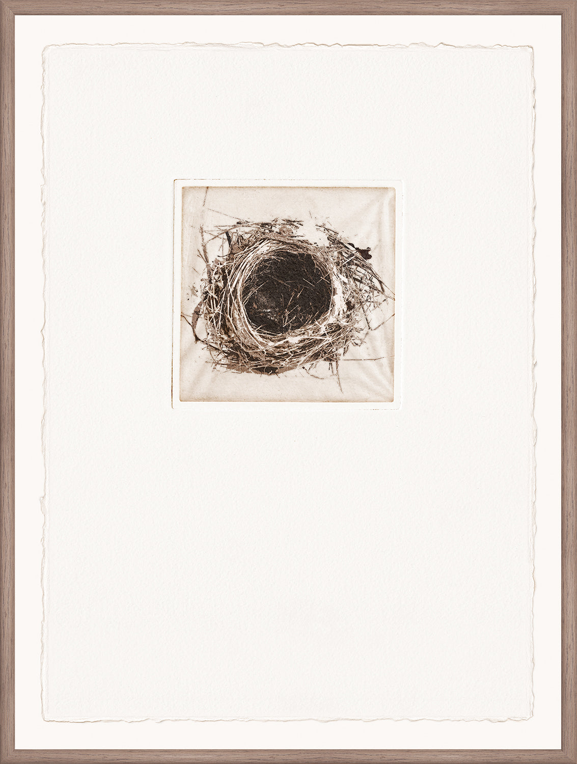 Intaglio Nests II
