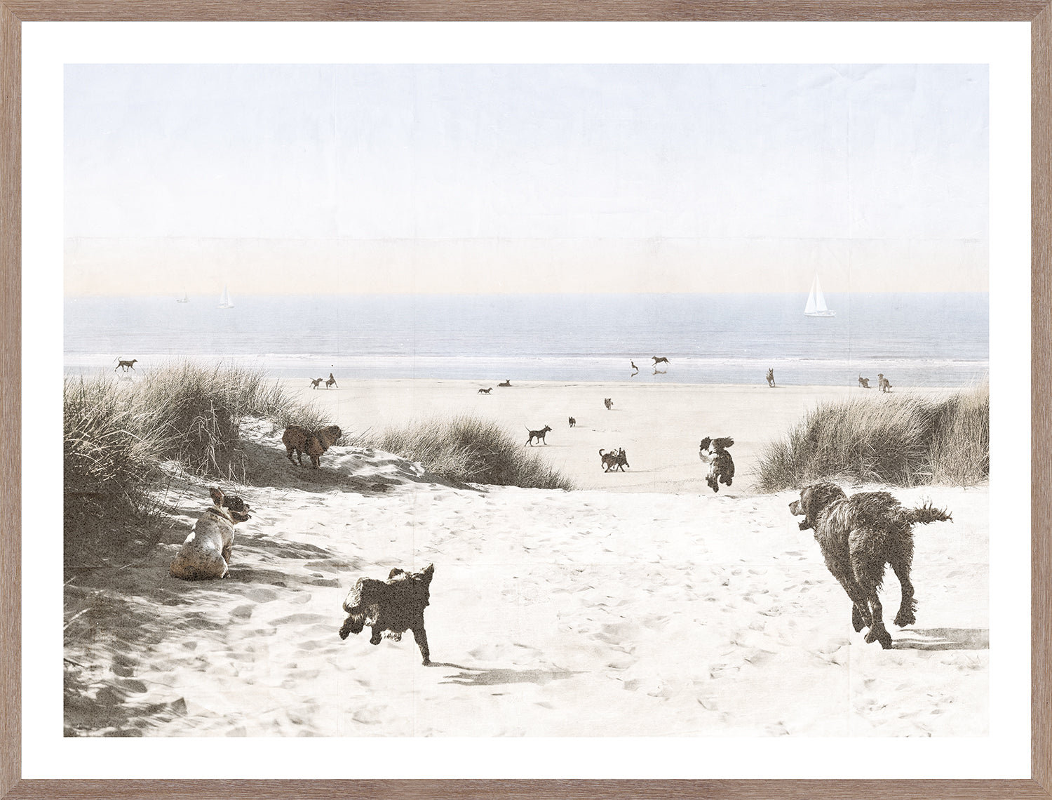 Dogs Only Beach wall art