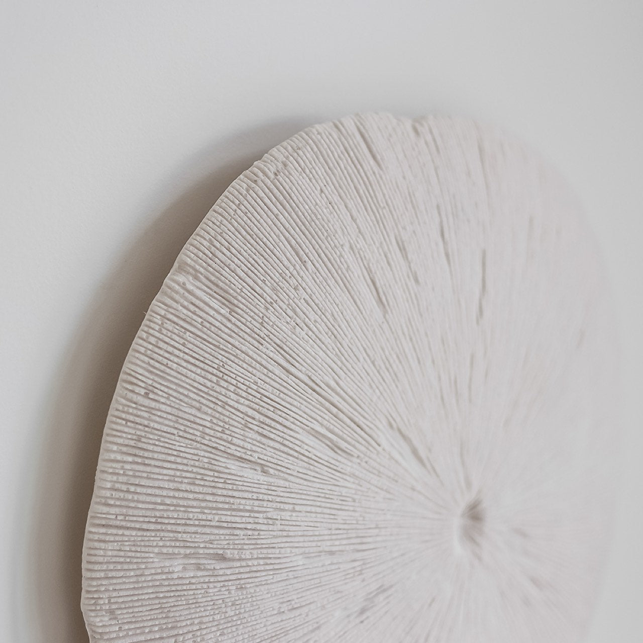 Close-up of a textured round stone object on a light gray background