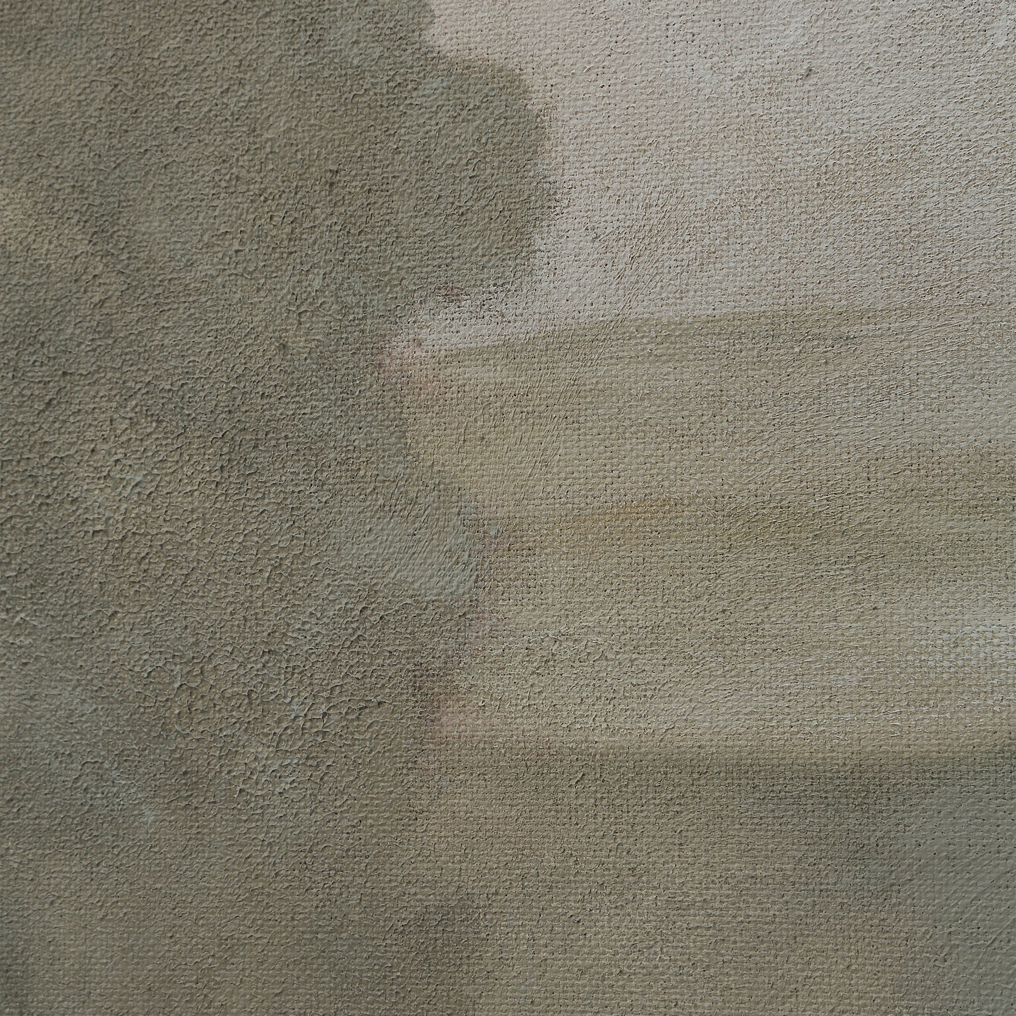 Close-up of Bruma canvas art texture, showcasing the detailed brushwork in muted earth tones.