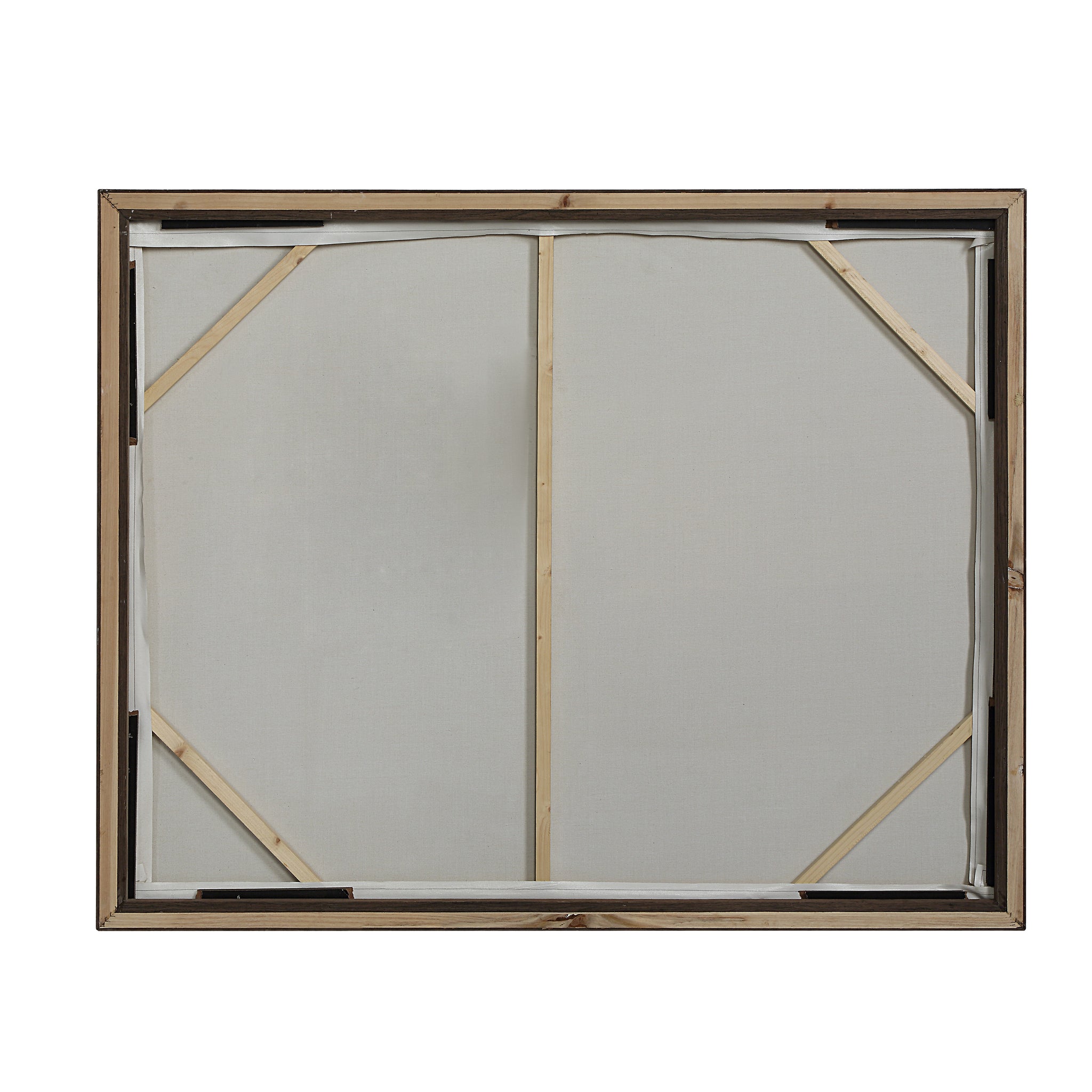 Back view of Nature canvas art by Renwil showing the frame and canvas structure.