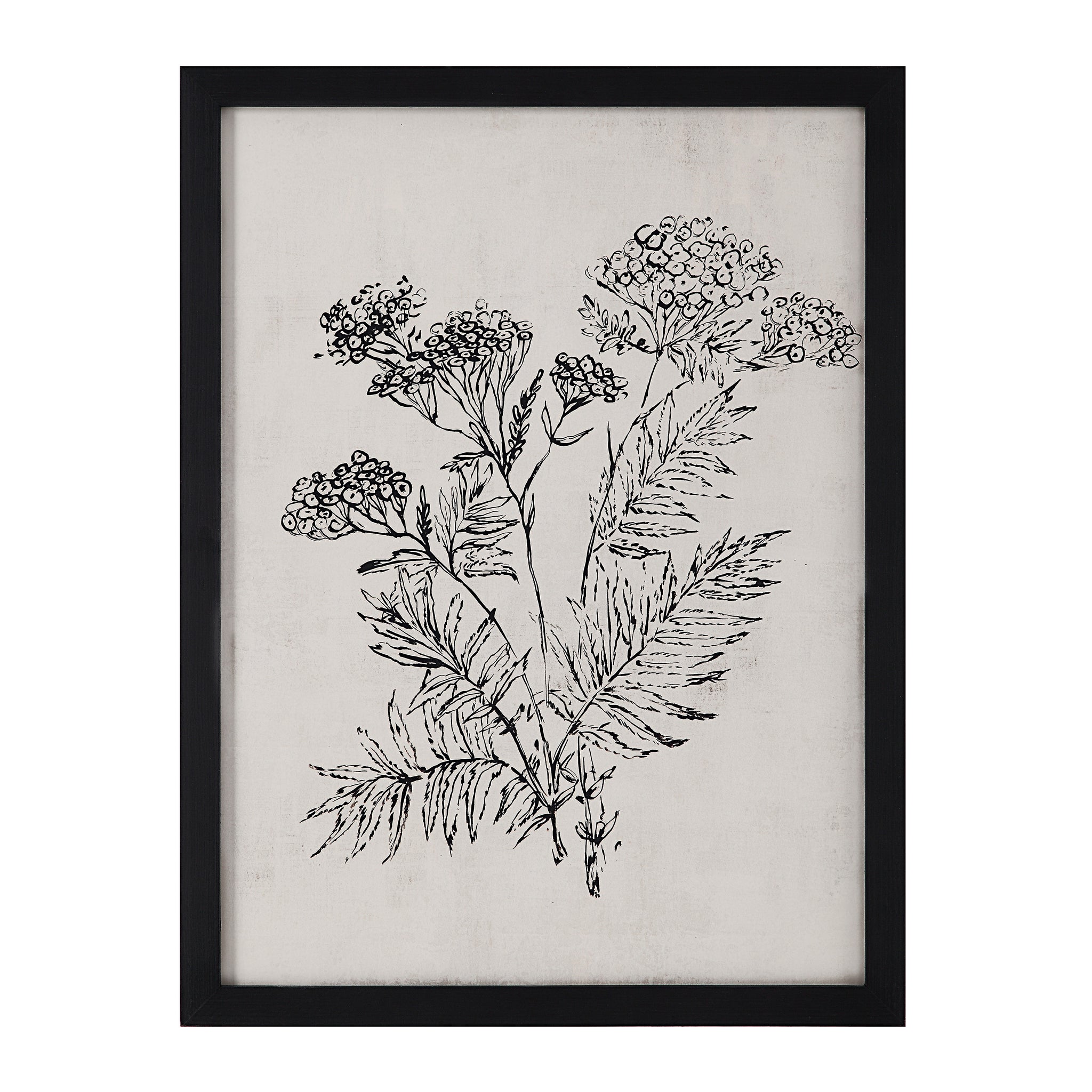 Basset Canvas Art featuring a black-framed illustration of flowering plants on a textured light background.