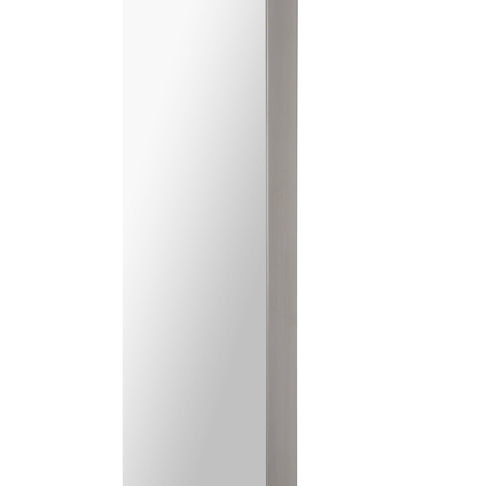 Delphinus Wall Mirror with a modern silver frame and a flat edge