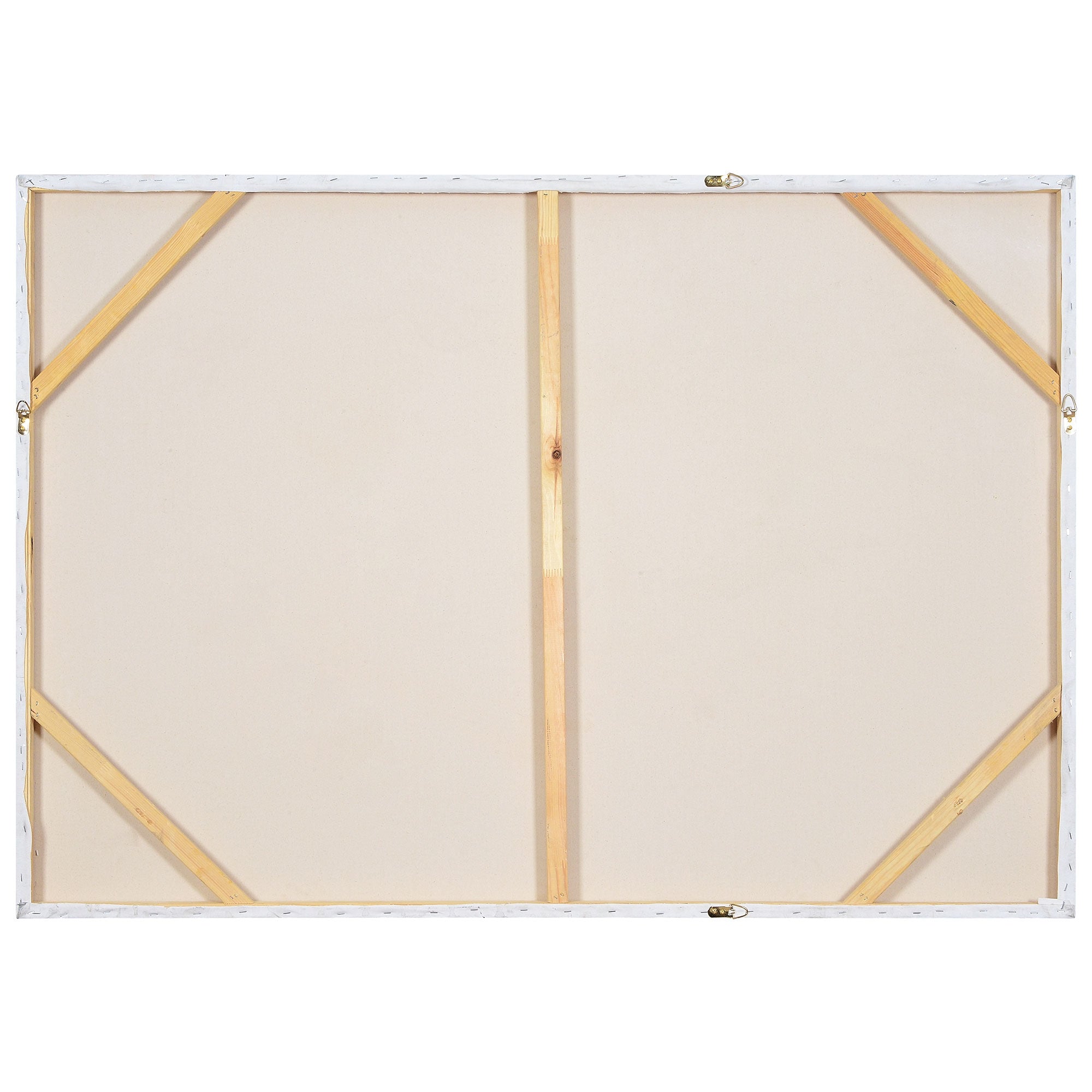 Back view of Alasia canvas art showing the wooden frame and canvas structure.
