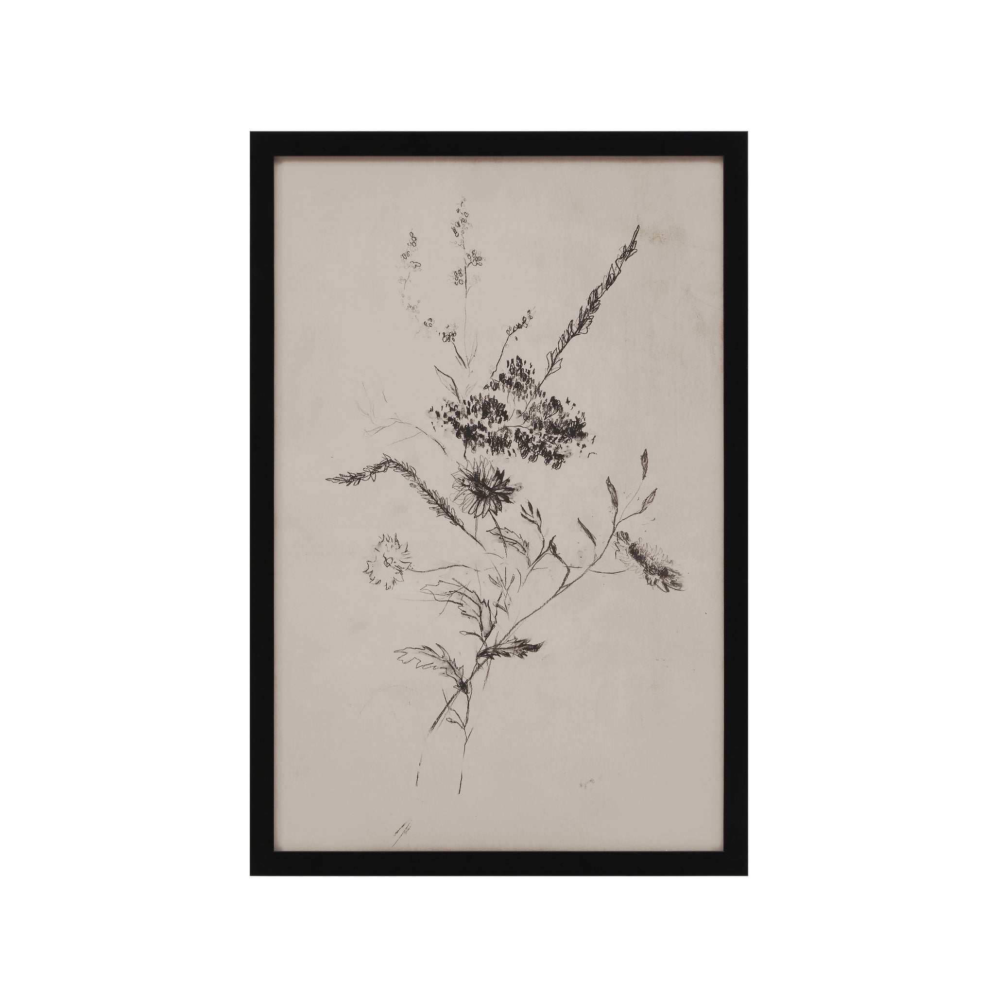 Adeline floral artwork in black frame, featuring delicate line drawings of flowers.