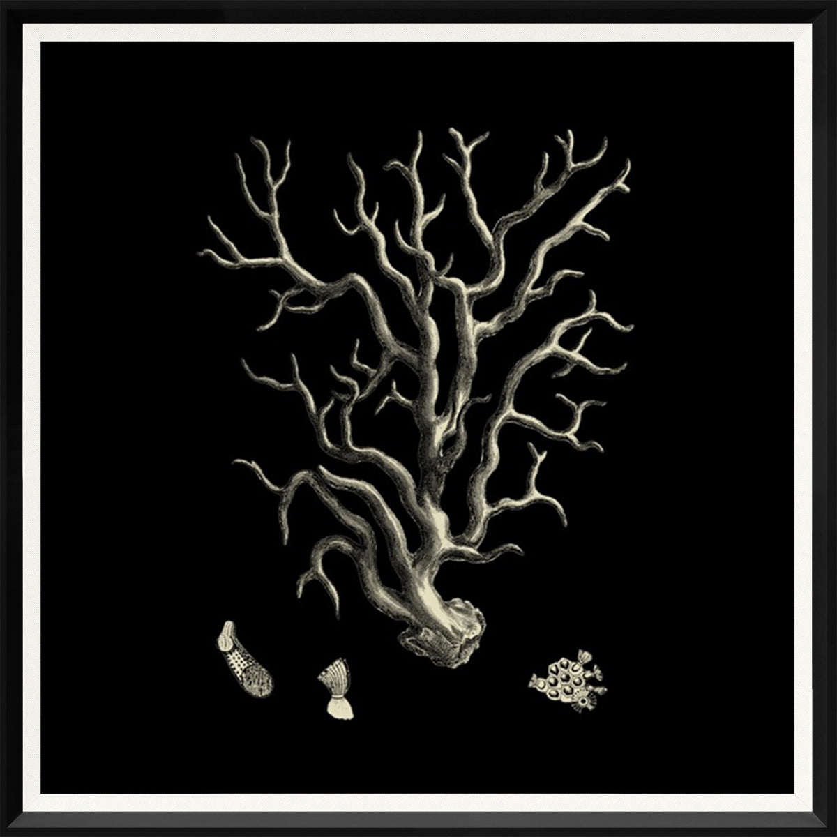 Black & Tan Coral Quartet Bundle — nature and landscape fine art print in neutral tones at Laurie Yapp Home