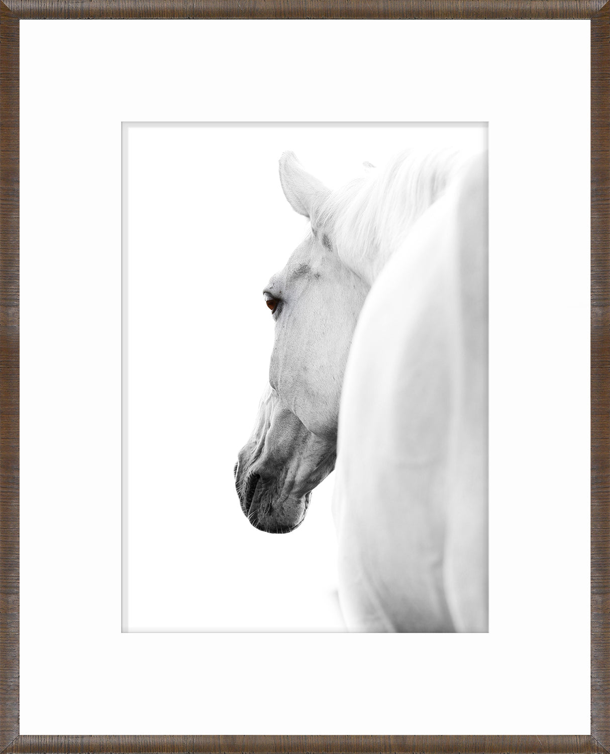 Arabian Horse Pair Bundle