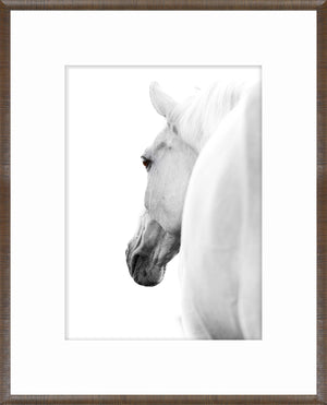 Arabian Horse Pair Bundle — nature and landscape fine art print in neutral tones at Laurie Yapp Home