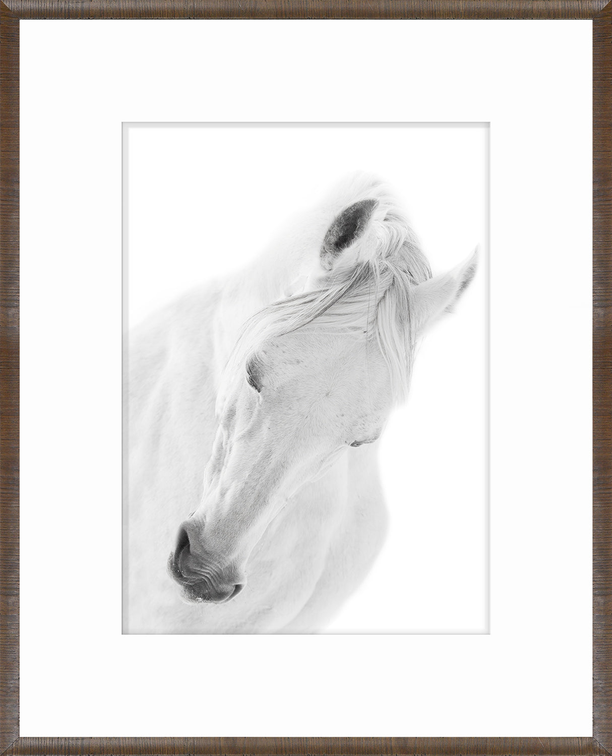 Arabian Horse Pair Bundle — nature and landscape fine art print shown from another angle