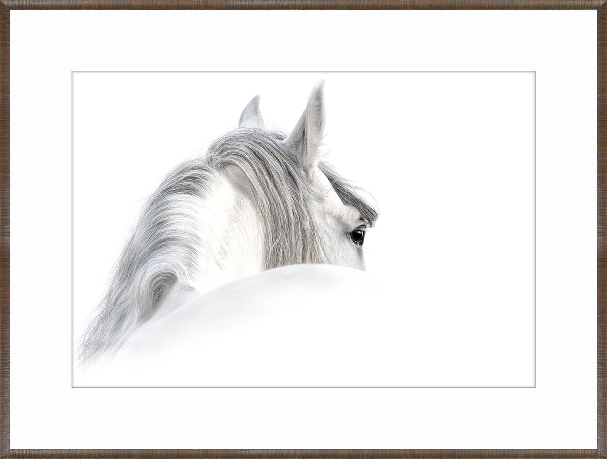 Andalusian & Chestnut Fresco Pair Bundle — abstract fine art print in neutral tones at Laurie Yapp Home