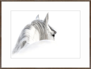 Andalusian & Chestnut Fresco Pair Bundle — abstract fine art print in neutral tones at Laurie Yapp Home