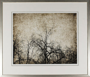 Through The Trees III wall art featuring dark tree silhouettes against a textured beige background